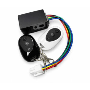 Remote Smart Lock