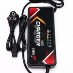 48V 4A Fast Charger for Electric Scooter | Compatible with Lead Acid & Graphene Batteries